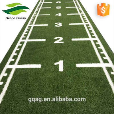 2m* 7m Commercial Gym Flooring Gym Turf for Pushing Sled